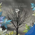 at the close of every day - Leaves you puzzled