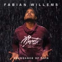 Fabian Willems - Abundance of rain